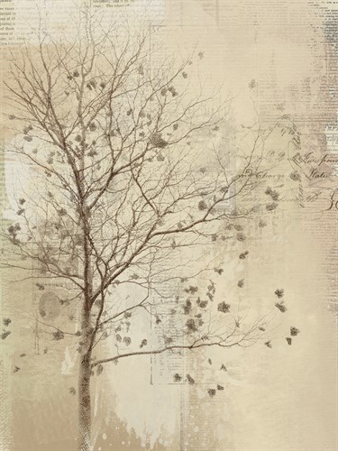 Gentle Breeze I - Ken Hurd