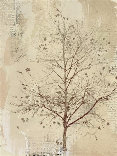 Gentle Breeze II - Ken Hurd