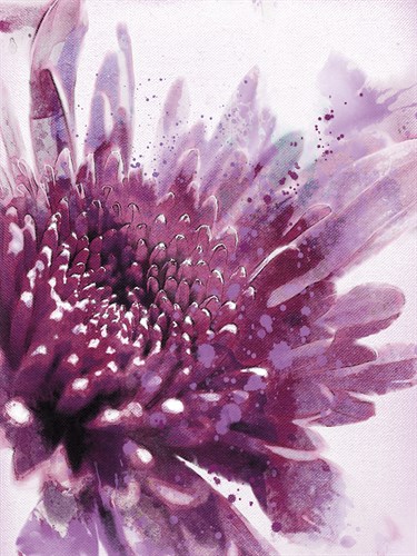 Colour of Love I - Ken Hurd