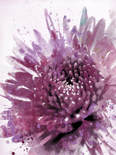 Colour of Love II - Ken Hurd