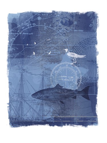 Cyanotype II - Ken Hurd