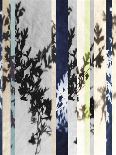 Black Hawthorn Shift - Sarah Cheyne