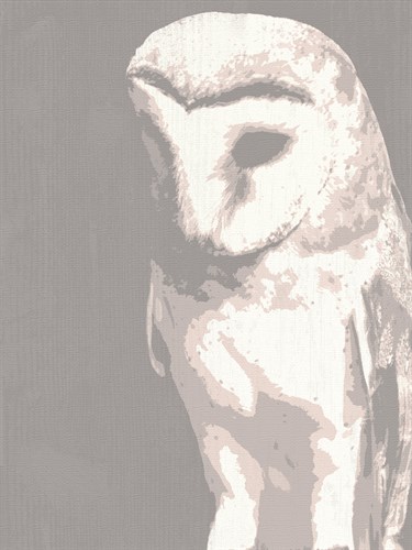 Barn Owl - Sasha Blake