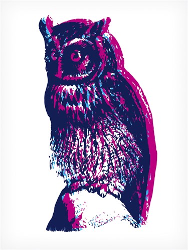 Swoop - Tom Frazier