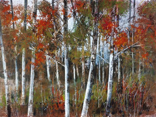 Silver Birches III - Richard Akerman