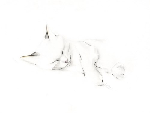 Repose I - Kellas Campbell