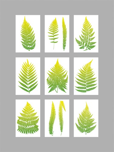 Neon Fernery - The Vintage Collection