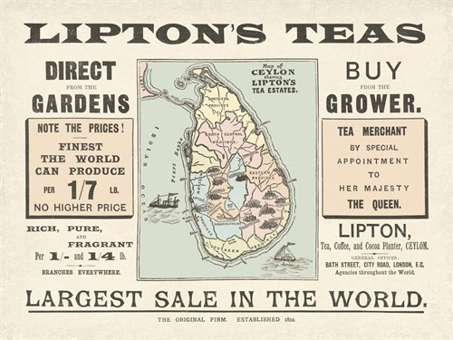 Tea Sale - The Vintage Collection