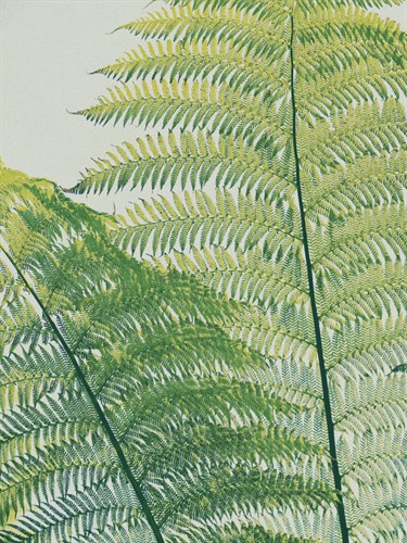 Frond I - Ella Lancaster