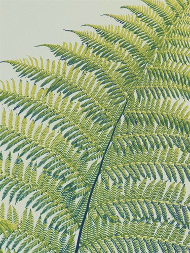 Frond II - Ella Lancaster