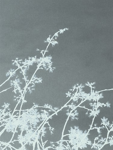 Woodland Blossom - Sarah Cheyne