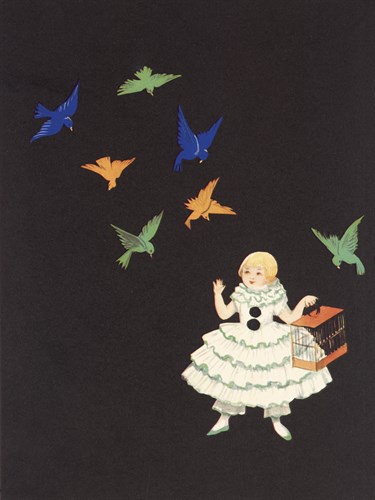 Colour Wings - The Vintage Collection