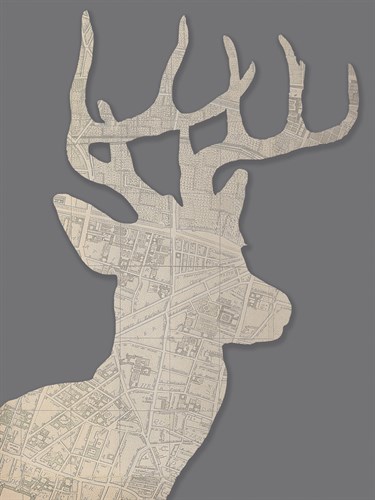 Animal Navigation I - Tom Frazier