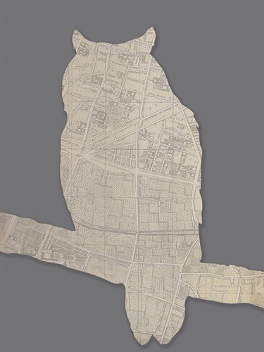 Animal Navigation II - Tom Frazier