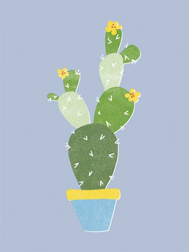 Prickly Cactus - Clara Wells