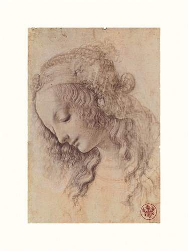 Testa Di Donna Di Profilo - Leonardo da Vinci