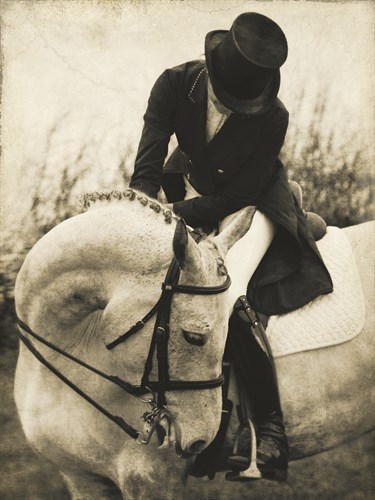 Vintage Equestrian - Transition - Pete Kelly