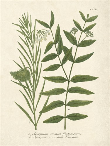 Botanica Indicum - The Vintage Collection