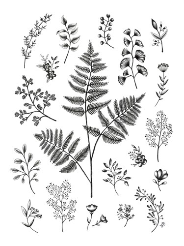 Botanique - Lucy Francis