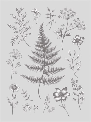 Herbarium Twilight - Lucy Francis
