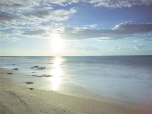 Sunshine Shores - Assaf Frank