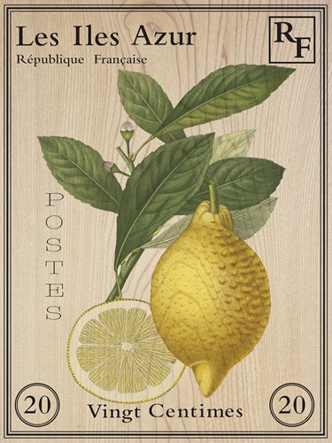French Stamp - Lemon - Maria Mendez