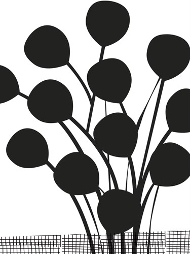Graphic Berries - Sophie Ledesma