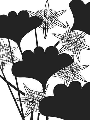 Graphic Ginko - Sophie Ledesma