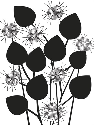 Graphic Nigella - Sophie Ledesma