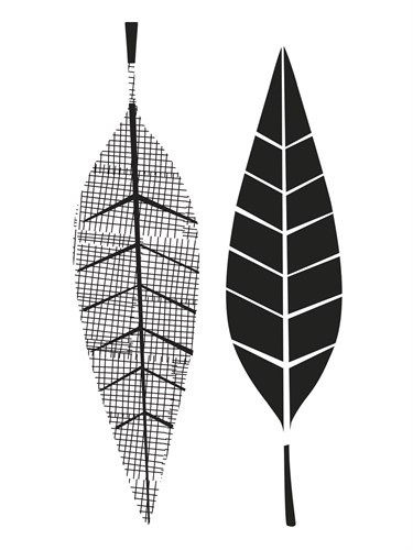 Graphic Willow - Sophie Ledesma