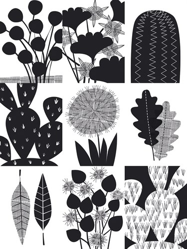 Cacti Composite - Sophie Ledesma