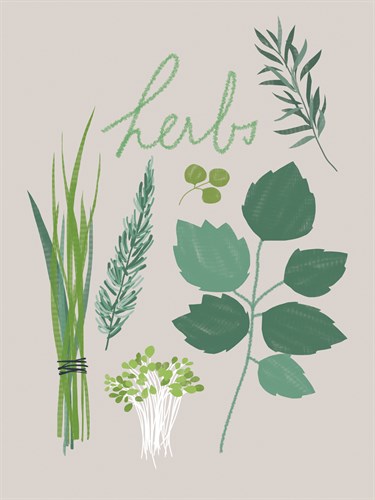 Collection of Herbs - Laure Girardin Vissian
