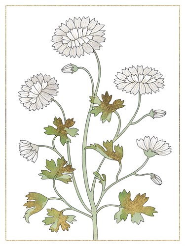 Mughal Collection I - Kristine Hegre