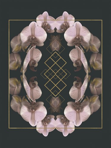 Tropical Mirrors - Katja Marzahn