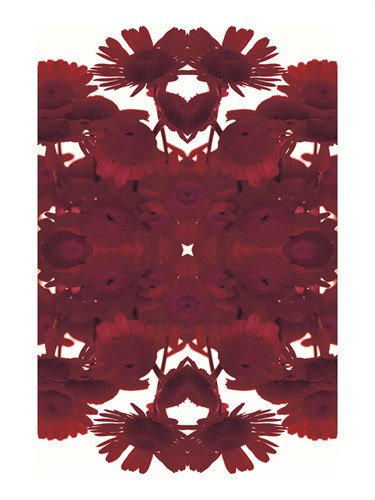 Jubilation Mirrors - Katja Marzahn