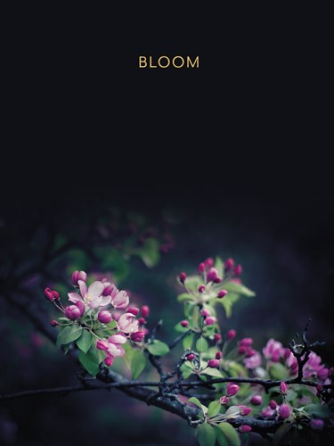 Bloom - Luxe - Irene Suchocki