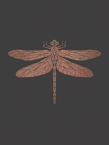 Crystal Dragonfly - Otto Gibb