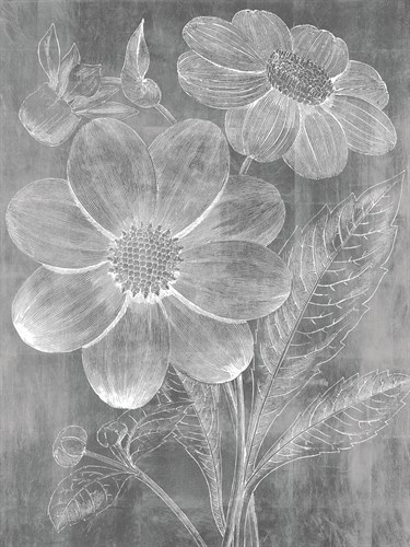 Chalky Bouquet - Maria Mendez