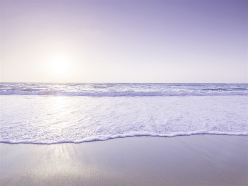 Endless Calm - Assaf Frank