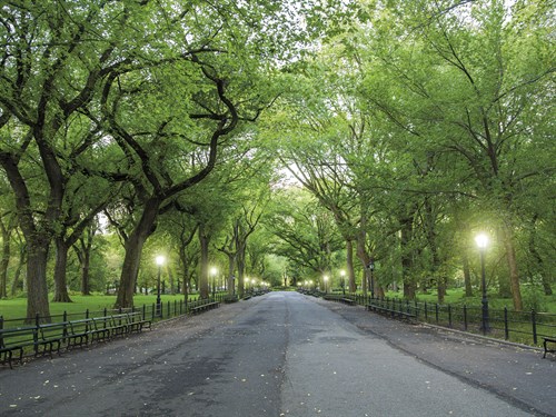 Walk in the Park - Jakob Dahlin