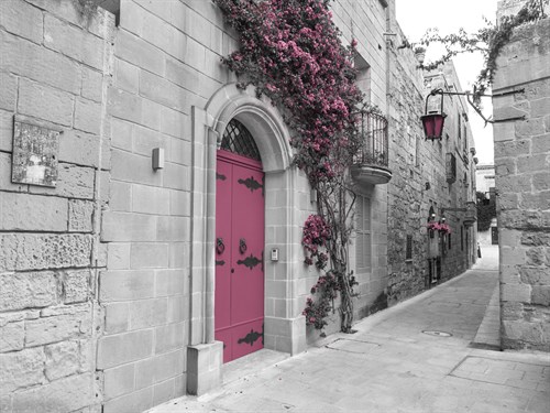 Blush Path - Assaf Frank