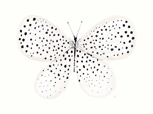 Flutterby Dance - Joelle Wehkamp