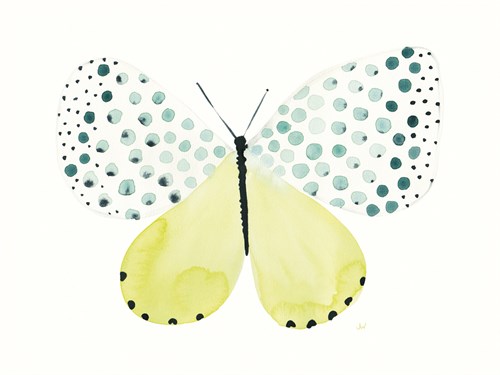 Flutterby Dapple - Joelle Wehkamp