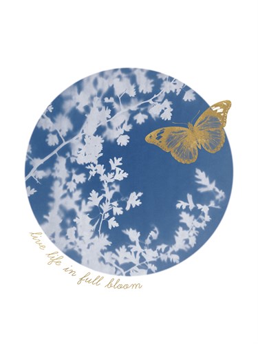 Spinney Bloom - Sarah Cheyne