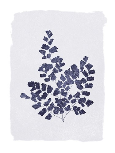 Ink Leaves - The Vintage Collection