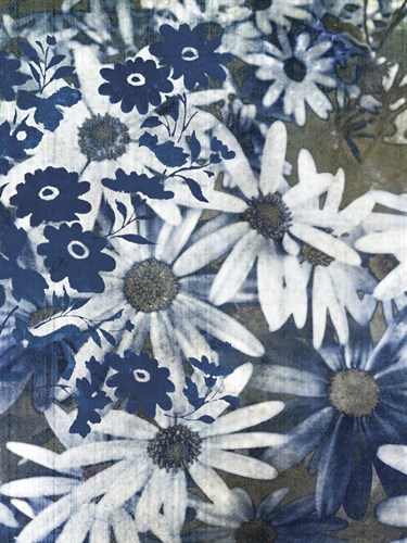 Flower Drift - Collezione Botanica