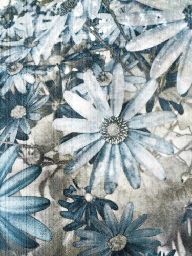 Flower Flow - Collezione Botanica