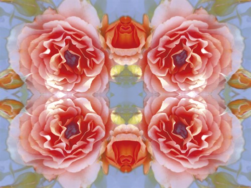 Botanique Elate - Collezione Botanica