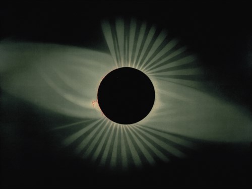 Total Eclipse of the Sun - Etienne Leopold Trouvelot