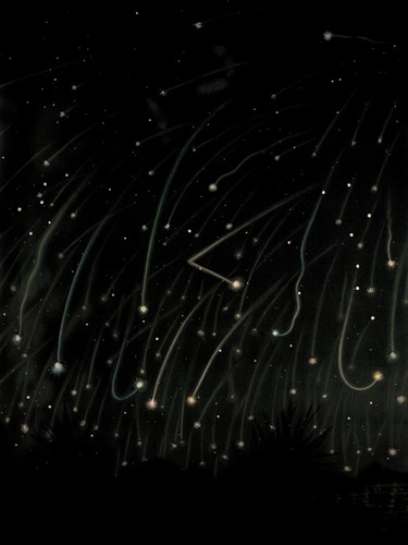 The November Meteors - Etienne Leopold Trouvelot